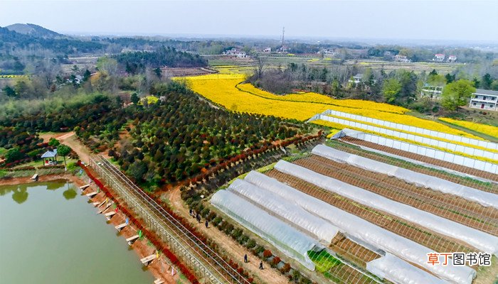 皋城是哪个城市