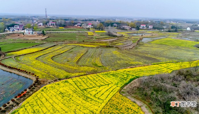 皋城是哪个城市