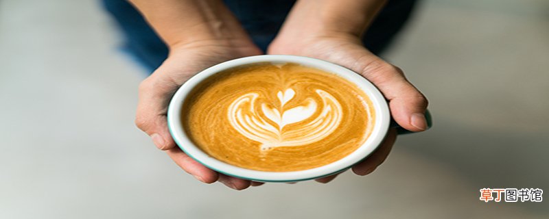 cappuccino属于什么咖啡