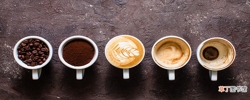 cappuccino属于什么咖啡