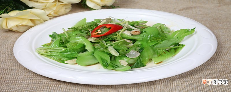 南方芥菜和北方芥菜的区别是什么