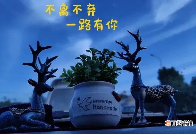 表示友谊长存的句子 关于珍惜友情的唯美语录