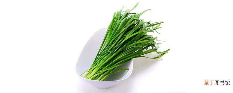 苤菜根是哪种菜的根