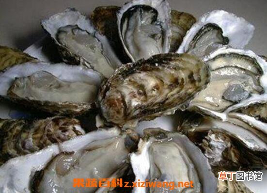 海蛎子怎么去壳 海蛎子快速去壳方法技巧