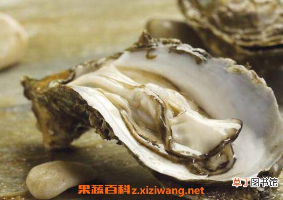 海蛎子怎么去壳 海蛎子快速去壳方法技巧