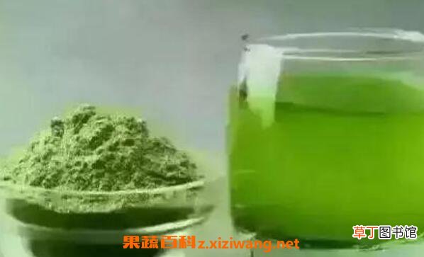 苜蓿酵素什么人不能喝 喝苜蓿酵素的危害
