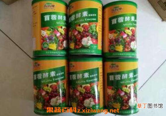 苜蓿酵素什么人不能喝 喝苜蓿酵素的危害