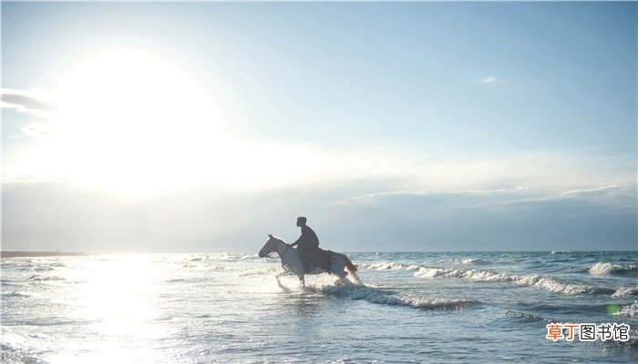 青海湖属于哪个省