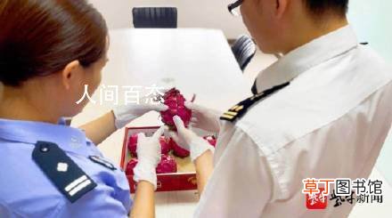 一举抓获犯罪嫌疑人9名 海关破获7.1亿元特大水果走私案