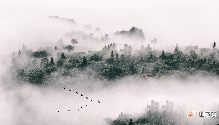 江南水乡是哪个城市