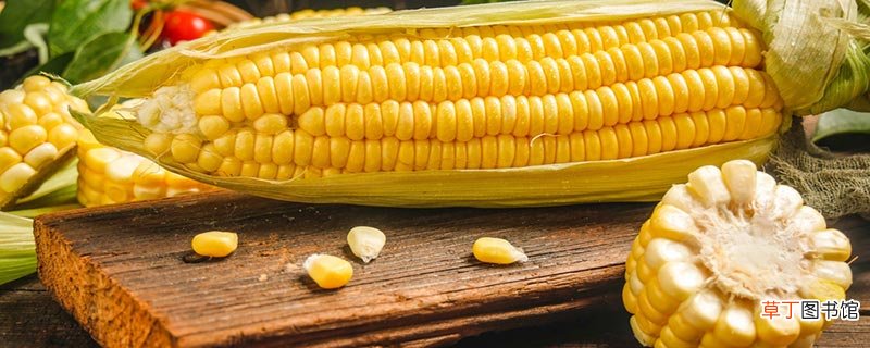 感恩节的历史和风俗是什么