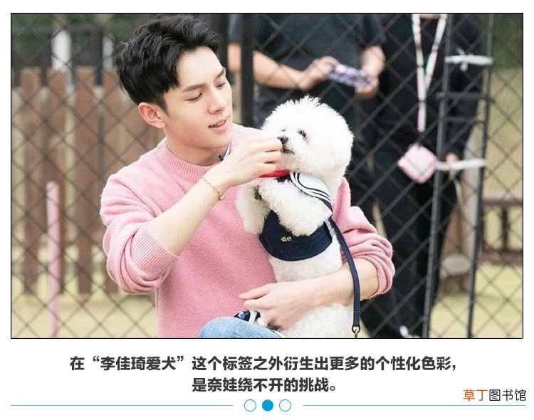 李佳琦又多了个吸金IP,养的狗子一夜带货3000万