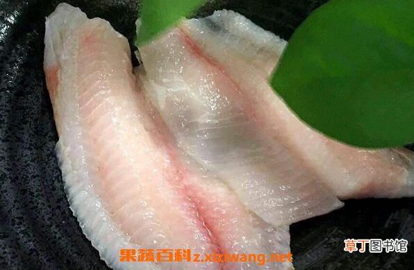 龙利鱼的功效与作用 吃龙利鱼的好处