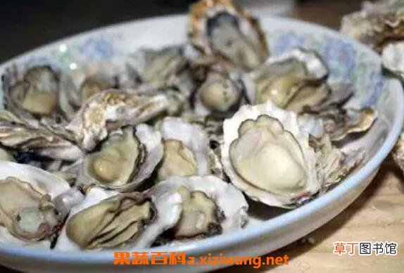 海蛎子和生蚝的区别 海蛎子的作用