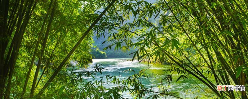 武夷山北站和东站的具体区别