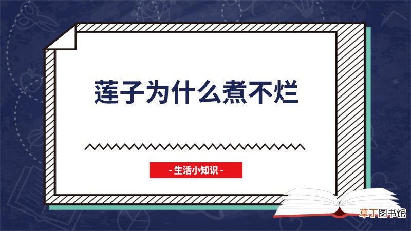 莲子为什么煮不烂