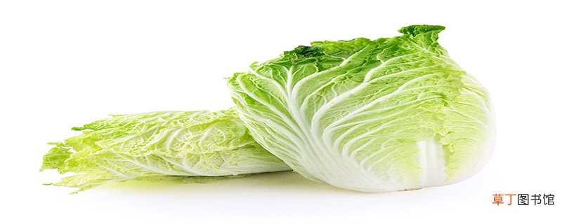 龙牙白菜与大白菜区别是什么