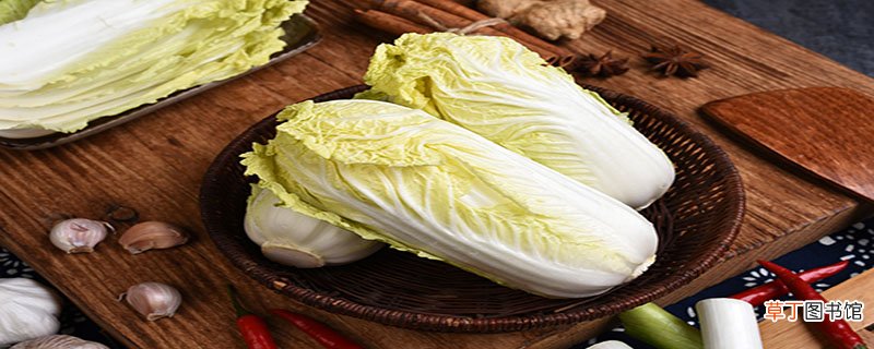 龙牙白菜与大白菜区别是什么