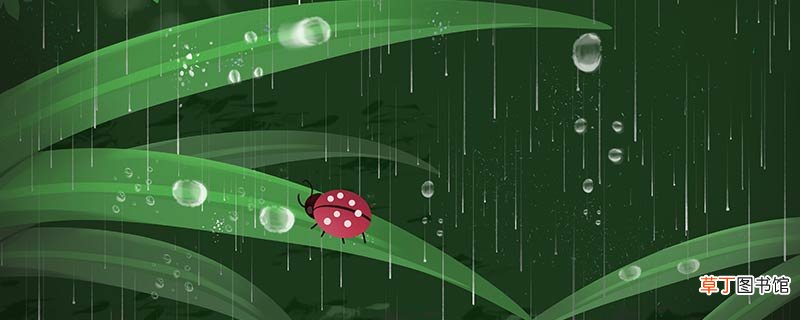花大姐是害虫还是益虫