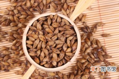 孕妇饮用各种花茶的安全性分析 孕妇能喝大麦茶吗？
