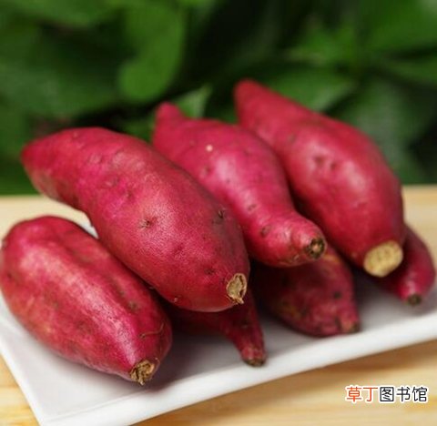 冬季孕妇怎么防寒6款御寒食谱推荐