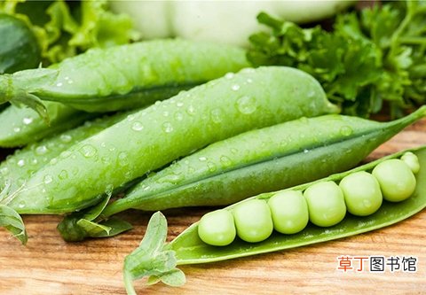 孕妇能不能吃豌豆 豌豆的营养价值对胎儿有什么作用