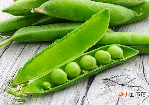 孕妇能不能吃豌豆 豌豆的营养价值对胎儿有什么作用