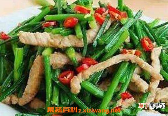 章鱼怎么做好吃 章鱼的家常做法教程