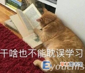 电脑开机出现英文解决方法 电脑打不开显示英文