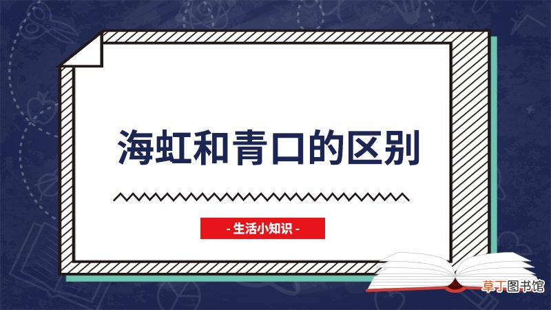 海虹和青口的区别