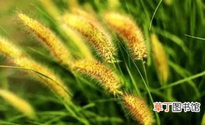 处暑对身体的影响?处暑对人的影响