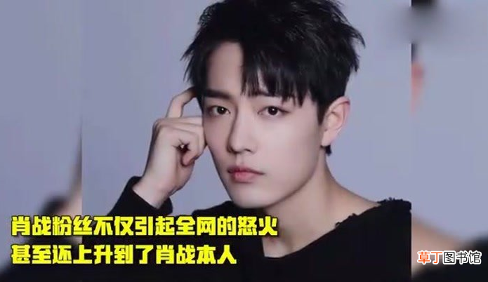 龙丹妮为什么不捧肖战,浅谈肖战的雪藏往事
