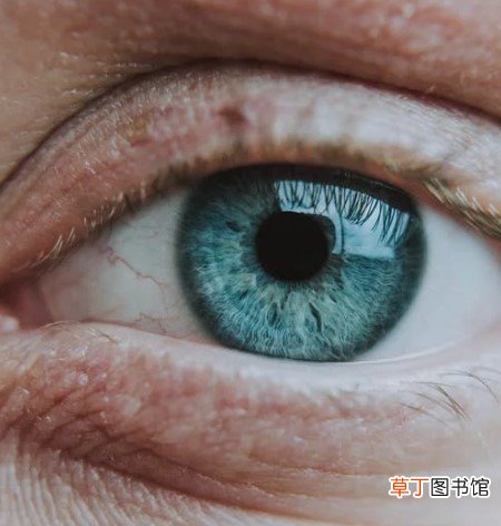 眼部去皱的方法