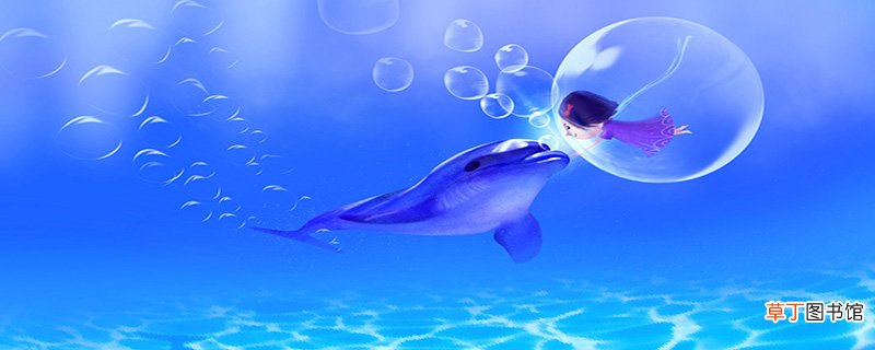 海豚的象征意义是什么