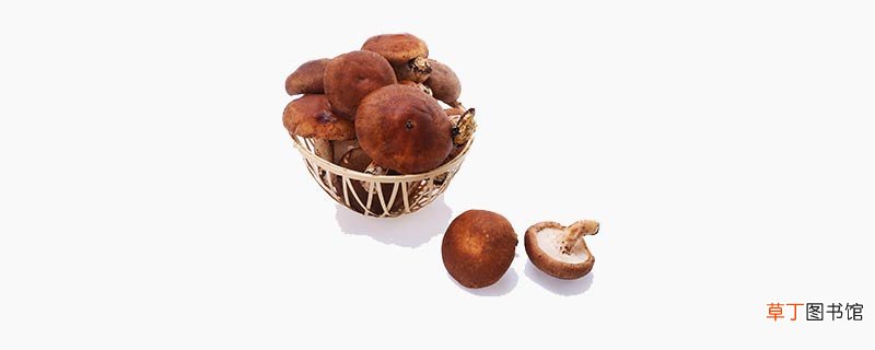鲜香菇冷冻保存的方法是什么
