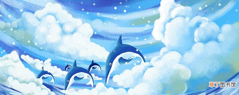 海豚的本领和特点