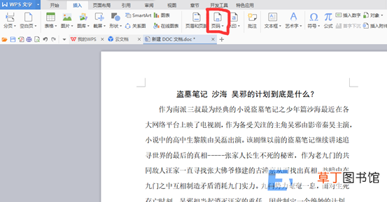 在WPS和Word文档中设置页码方法 wps表格怎么加页码
