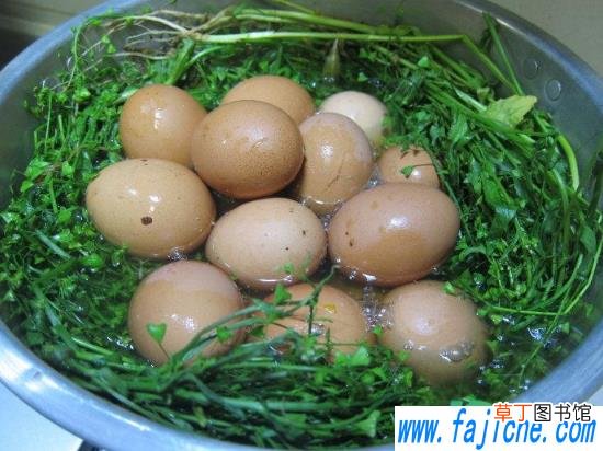 荠菜煮鸡蛋不能和什么同食 荠菜煮鸡蛋不能和什么一起吃