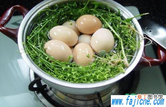 荠菜煮鸡蛋要打碎吗 荠菜煮鸡蛋需要敲破吗