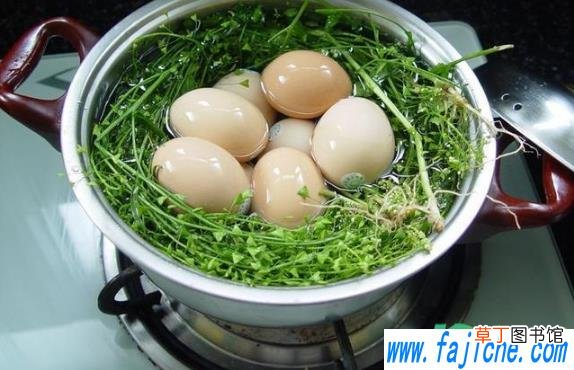 荠菜煮鸡蛋是什么味道 荠菜煮鸡蛋鸡蛋是咸的还是淡的