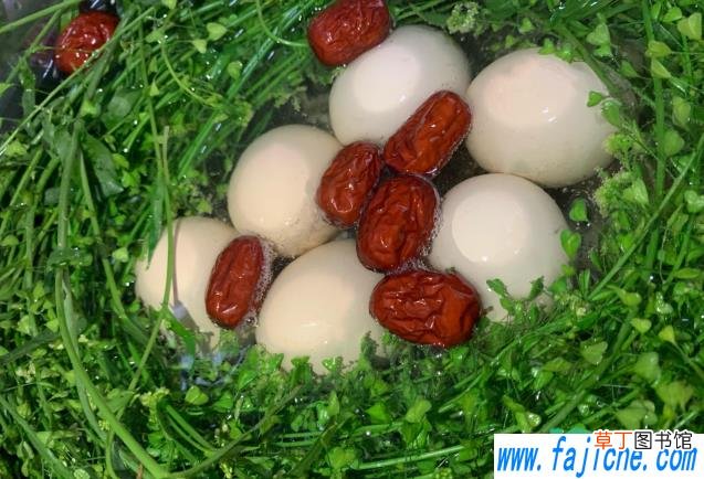 荠菜煮鸡蛋是什么味道 荠菜煮鸡蛋鸡蛋是咸的还是淡的