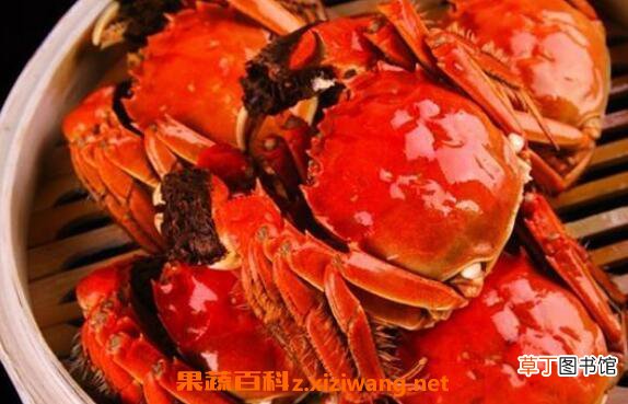螃蟹怎么保存 保存螃蟹的方法技巧