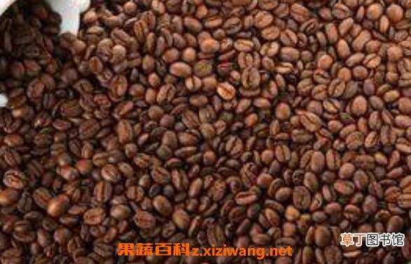 咖啡豆怎么吃 咖啡豆的正确吃法