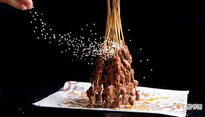 嫩肉粉是什么