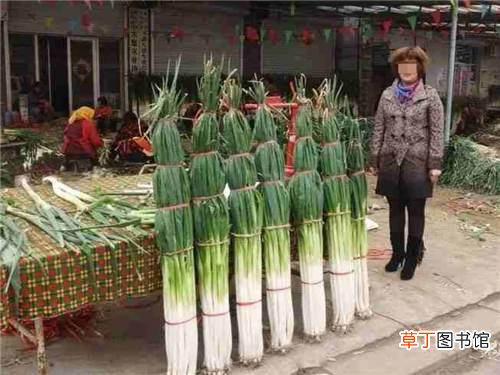 我憋气找了山东大葱冰激凌和它掰头 吃了长沙臭豆腐味雪糕后