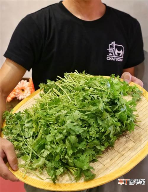 我憋气找了山东大葱冰激凌和它掰头 吃了长沙臭豆腐味雪糕后