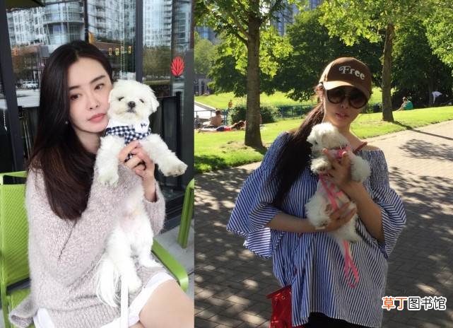 独自一人遛狗肤白温柔似少女 网友温哥华偶遇王祖贤遛狗