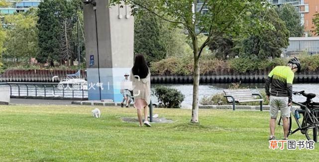 独自一人遛狗肤白温柔似少女 网友温哥华偶遇王祖贤遛狗