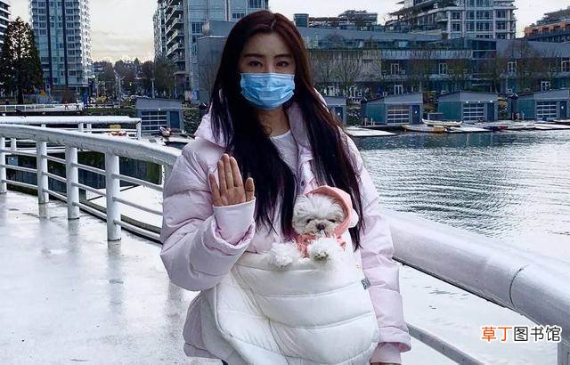 独自一人遛狗肤白温柔似少女 网友温哥华偶遇王祖贤遛狗