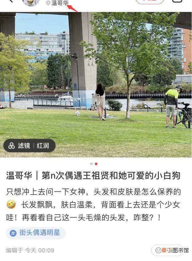 独自一人遛狗肤白温柔似少女 网友温哥华偶遇王祖贤遛狗